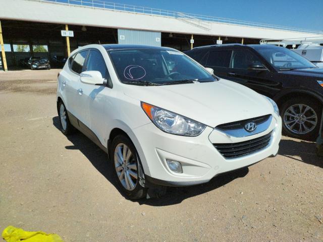 HYUNDAI TUCSON GLS 2011 with VIN KM8JUCAC2BU157569 - Photo from auction