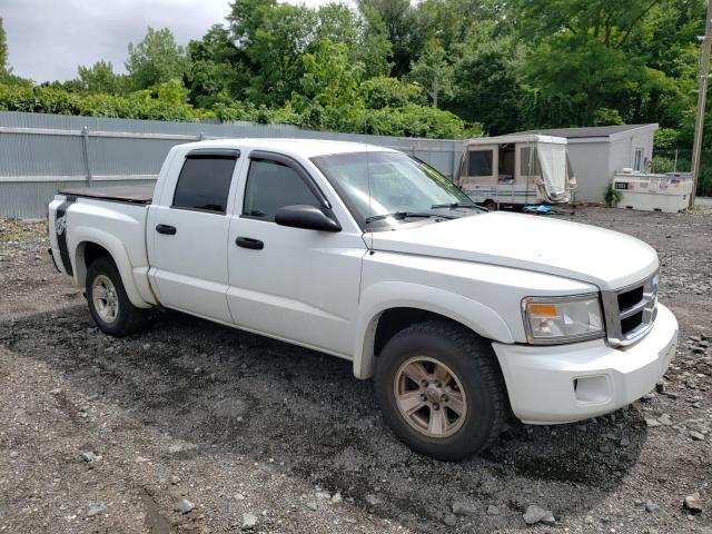 DODGE DAKOTA 2008 z numerem VIN 1D7HW48N08S546439 - Zdjęcie z aukcji
