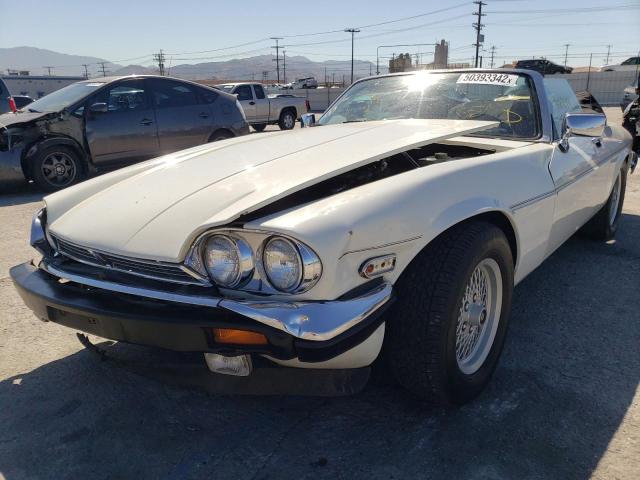Photo 9 from auction – 1989 JAGUAR XJS with VIN SAJNV4849KC156028