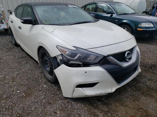 NISSAN MAXIMA 3.5 2016 with VIN 1N4AA6AP8GC383409 - Photo from auction