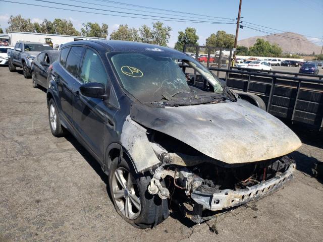 FORD ESCAPE SE 2014 with VIN 1FMCU0GX4EUA77566 - Photo from auction