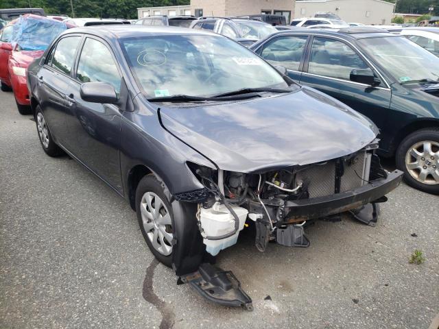TOYOTA COROLLA BA 2010 with VIN 2T1BU4EE8AC233155 - Photo from auction