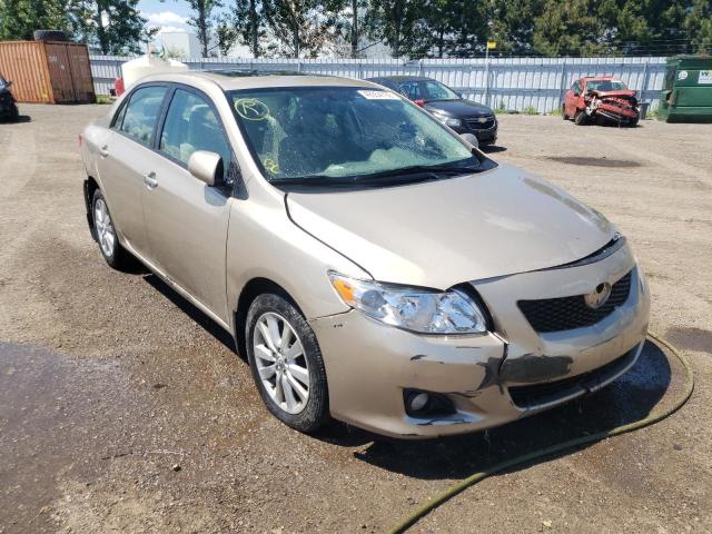 TOYOTA COROLLA BA 2010 with VIN 2T1BU4EE9AC285006 - Photo from auction
