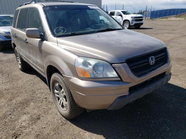 HONDA PILOT EXL 2004 with VIN 2HKYF18634H000261 - Photo from auction