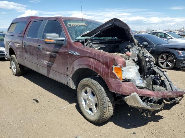 FORD F150 SUPER 2010 with VIN 1FTFW1EV9AFC05284 - Photo from auction