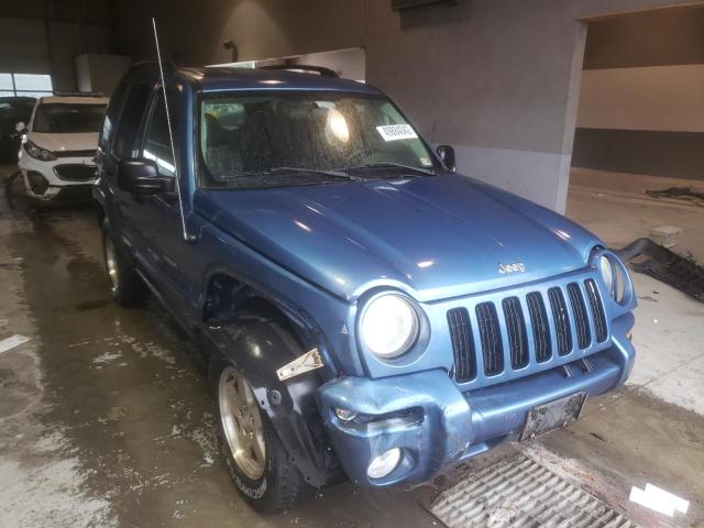 JEEP LIBERTY LI 2003 with VIN 1J4GL58K53W636837 - Photo from auction