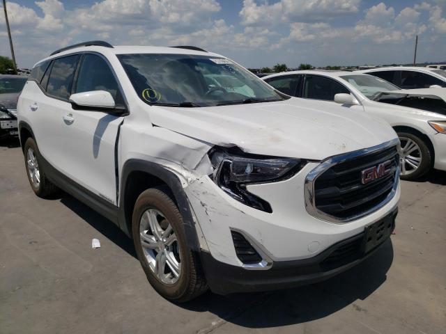 GMC TERRAIN SL 2019 with VIN 3GKALTEV6KL204393 - Photo from auction