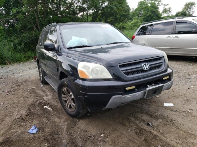HONDA PILOT EX 2004 with VIN 2HKYF184X4H554413 - Photo from auction