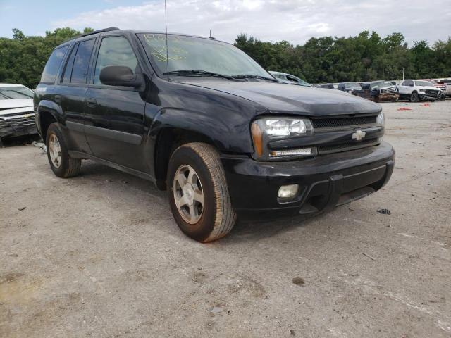 CHEVROLET TRAILBLAZE 2005 with VIN 1GNDT13S752196212 - Photo from auction