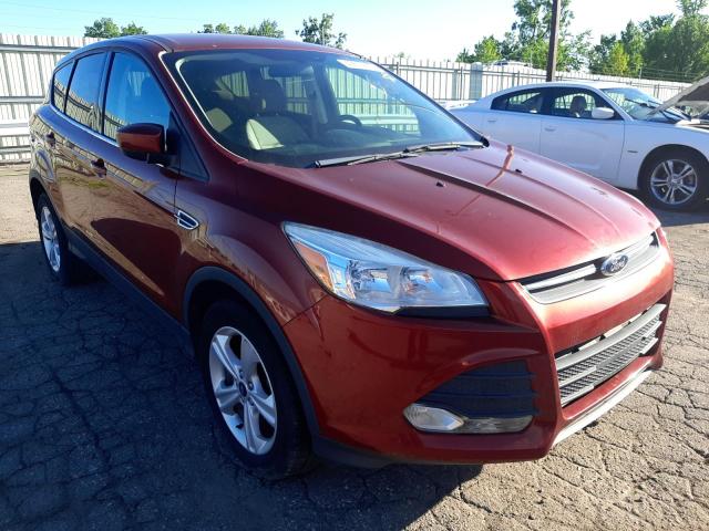 FORD ESCAPE SE 2014 with VIN 1FMCU0GX1EUC36172 - Photo from auction