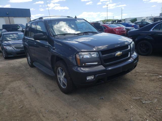 CHEVROLET TRAILBLAZE 2007 with VIN 1GNET13M072143084 - Photo from auction