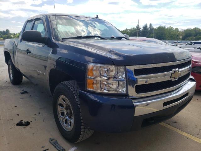 CHEVROLET SILVERADO 2009 with VIN 1GCEK19C19Z289661 - Photo from auction