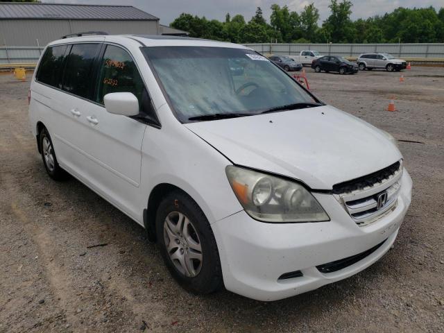 HONDA ODYSSEY EX 2007 with VIN 5FNRL38797B432437 - Photo from auction