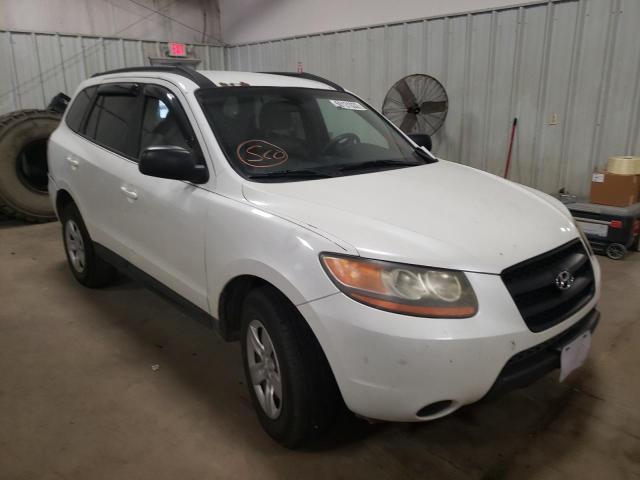HYUNDAI SANTA FE G 2009 with VIN 5NMSG13D59H295117 - Photo from auction