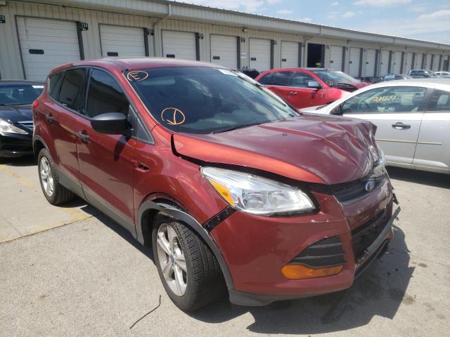 Фото 1 с аукциона – 2014 FORD ESCAPE S с VIN 1FMCU0F74EUE36934
