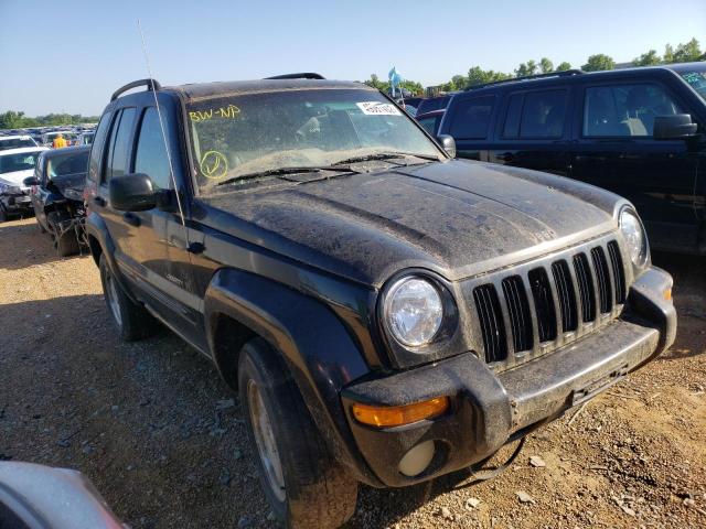 JEEP LIBERTY 2002 with VIN 1J4GK58K92W341984 - Photo from auction