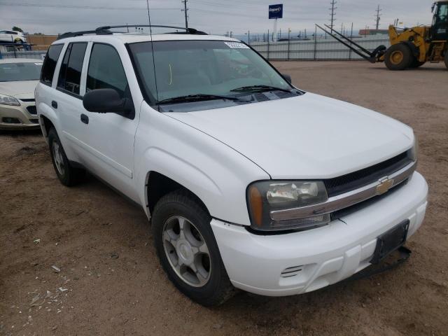 CHEVROLET TRAILBLAZE 2006 with VIN 1GNDT13S762333036 - Photo from auction