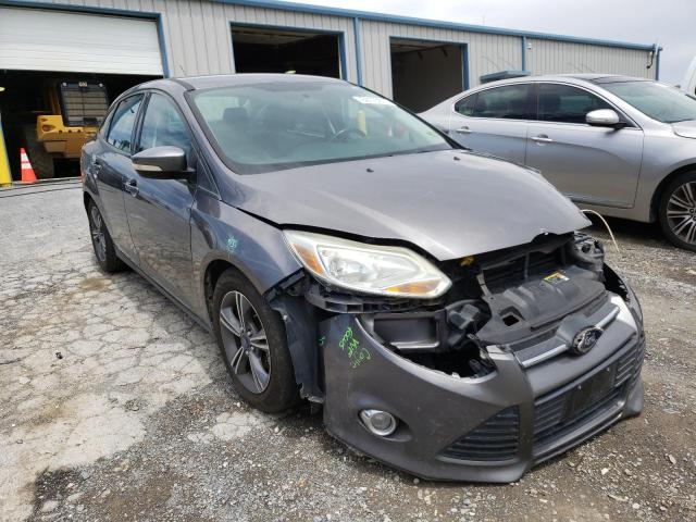 FORD FOCUS SE 2014 with VIN 1FADP3F24EL244656 - Photo from auction