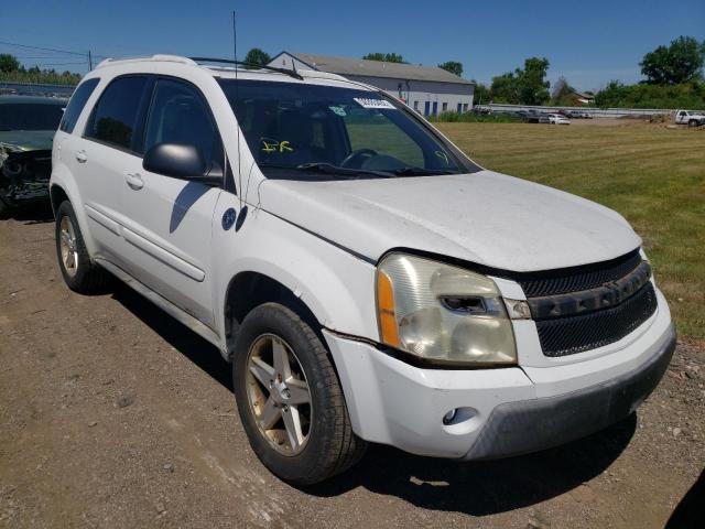 CHEVROLET EQUINOX LT 2005 with VIN 2CNDL73F756192318 - Photo from auction