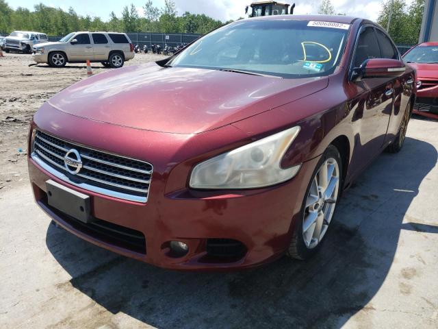 Photo 2 from auction – 2010 NISSAN MAXIMA S with VIN 1N4AA5AP5AC817433