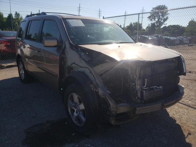 HONDA PILOT EXL 2009 with VIN 5FNYF48529B033623 - Photo from auction