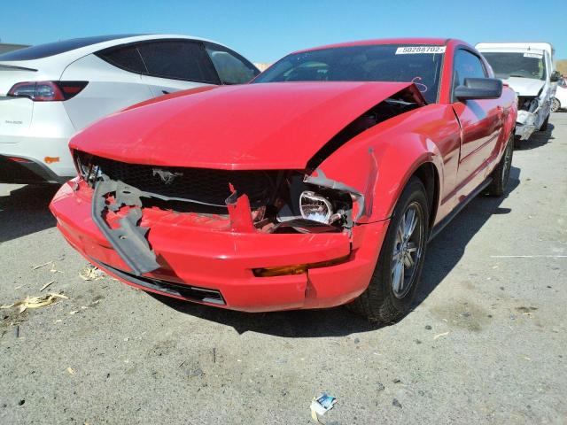 Photo 2 from auction – 2008 FORD MUSTANG with VIN 1ZVHT80N385193891