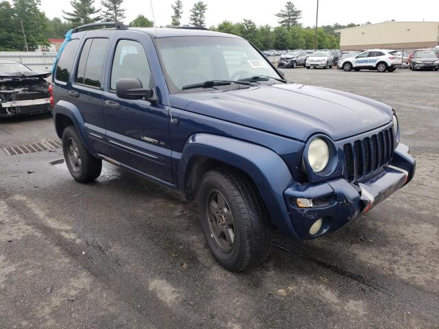 JEEP LIBERTY LI 2002 with VIN 1J4GL58K82W234504 - Photo from auction