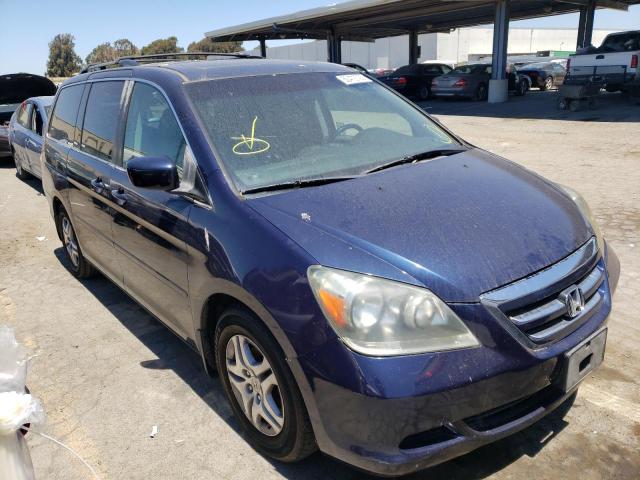 HONDA ODYSSEY EX 2007 with VIN 5FNRL38727B037841 - Photo from auction