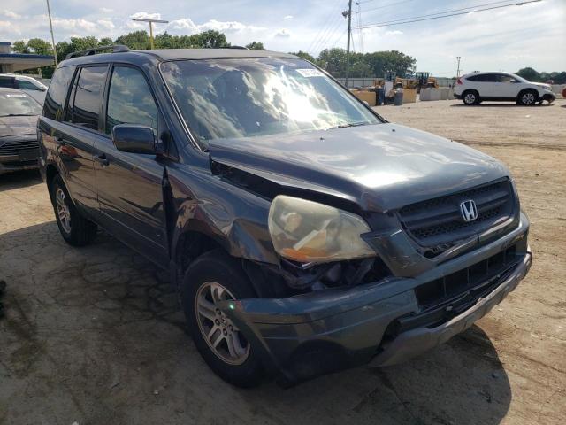 HONDA PILOT EX 2005 with VIN 5FNYF18475B031060 - Photo from auction