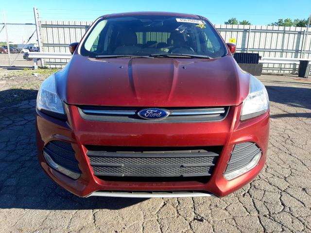 Photo 9 from auction – 2014 FORD ESCAPE SE with VIN 1FMCU0GX1EUC36172
