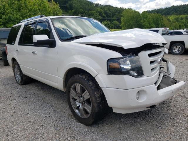 FORD EXPEDITION 2010 with VIN 1FMJU2A56AEA76126 - Photo from auction