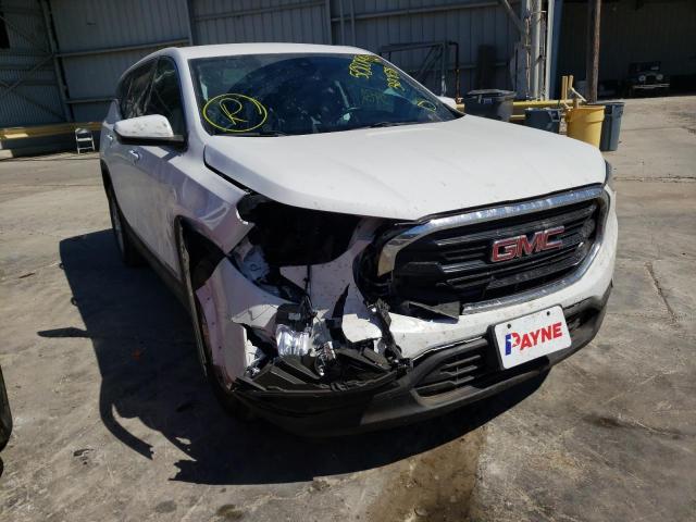 GMC TERRAIN SL 2020 with VIN 3GKALMEV6LL312858 - Photo from auction
