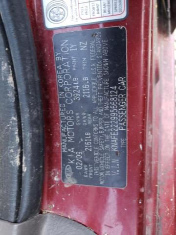 Photo 10 from auction – 2009 KIA SPECTRA EX with VIN KNAFE222995668124