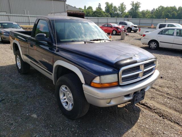 DODGE DAKOTA SLT 2002 with VIN 1B7GG46X82S516393 - Photo from auction