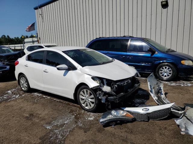KIA FORTE EX 2014 with VIN KNAFX4A81E5088579 - Photo from auction