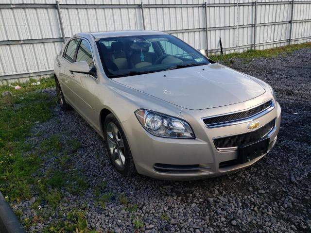 CHEVROLET MALIBU 1LT 2010 with VIN 1G1ZC5EB5AF138310 - Photo from auction