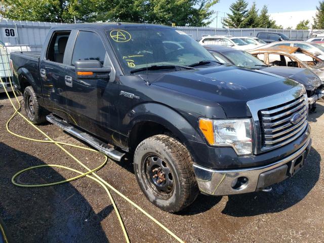FORD F150 SUPER 2010 with VIN 1FTFW1EV7AFD81833 - Photo from auction