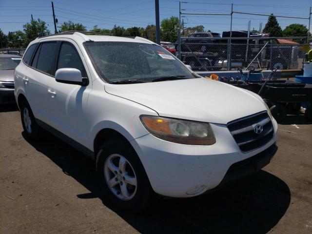 HYUNDAI SANTA FE G 2007 with VIN 5NMSG13D77H056049 - Photo from auction