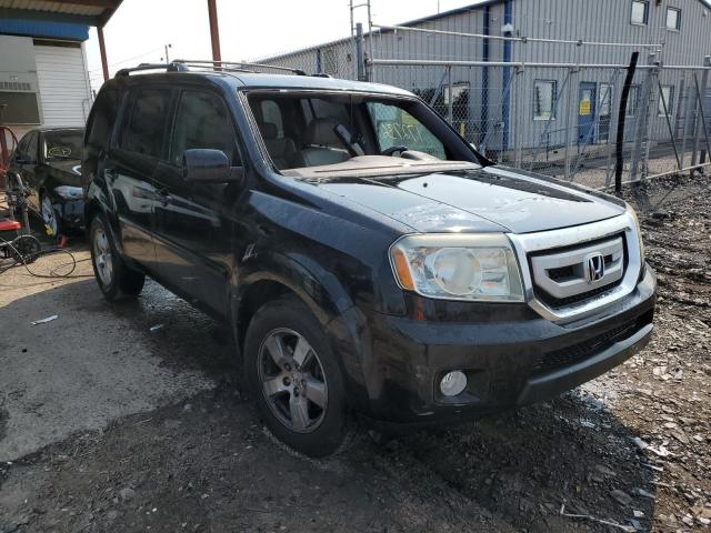 HONDA PILOT EXL 2011 with VIN 5FNYF4H50BB057683 - Photo from auction