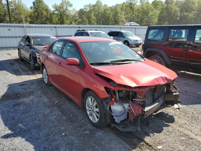 TOYOTA COROLLA BA 2009 with VIN 2T1BU40EX9C150216 - Photo from auction