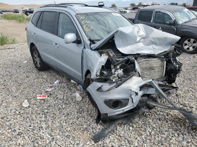 HYUNDAI SANTA FE 2010 with VIN 5NMSHDAG2AH377905 - Photo from auction