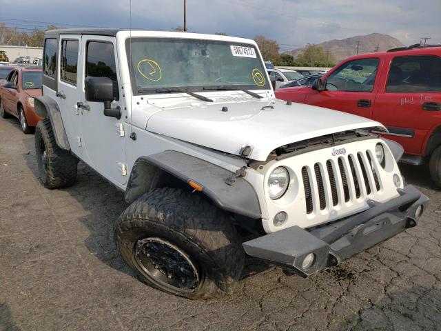 JEEP WRANGLER U 2016 with VIN 1C4BJWDG4GL289120 - Photo from auction