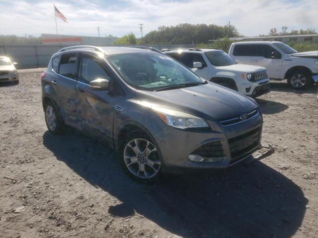 FORD ESCAPE TIT 2014 with VIN 1FMCU0JX1EUD88607 - Photo from auction