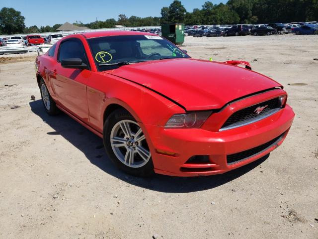 FORD MUSTANG 2014 with VIN 1ZVBP8AM4E5201234 - Photo from auction