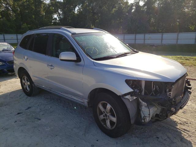 HYUNDAI SANTA FE G 2007 with VIN 5NMSG13D67H096719 - Photo from auction