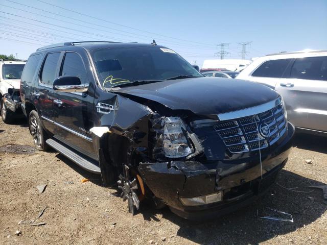 CADILLAC ESCALADE L 2010 with VIN 1GYUKBEF8AR244829 - Photo from auction