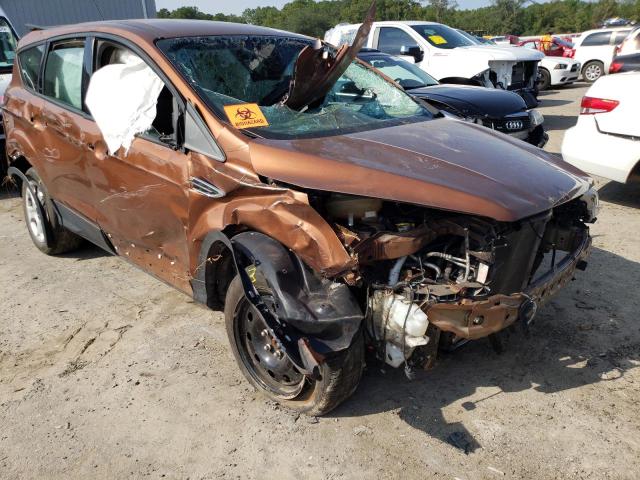 FORD ESCAPE S 2017 with VIN 1FMCU0F74HUA18359 - Photo from auction