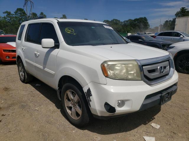 HONDA PILOT EXL 2009 with VIN 5FNYF38509B012912 - Photo from auction