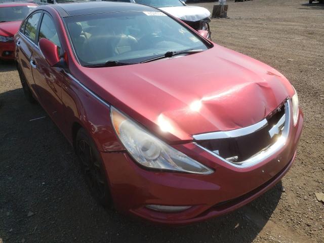 Photo 1 from auction – 2013 HYUNDAI SONATA SE with VIN 5NPEC4ACXDH654574