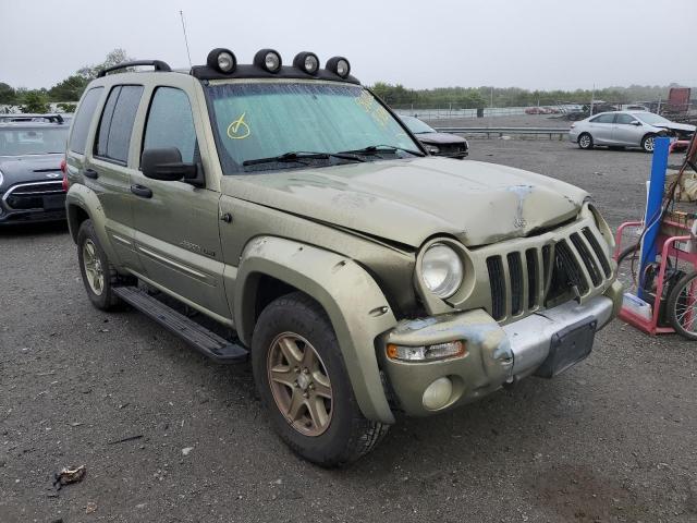JEEP LIBERTY RE 2002 with VIN 1J4GL38K82W331397 - Photo from auction